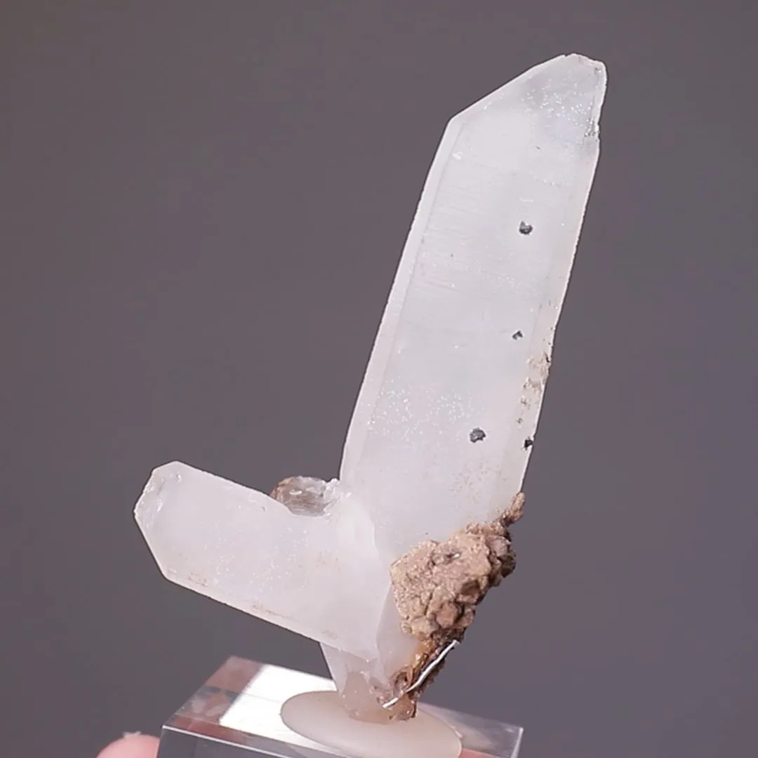 Quartz Japan Law Twin - image 2