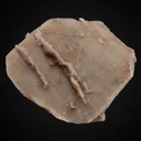 Quartz (Japan-Law Twin) - image 1