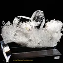 Quartz Japan-law Twin - image 1
