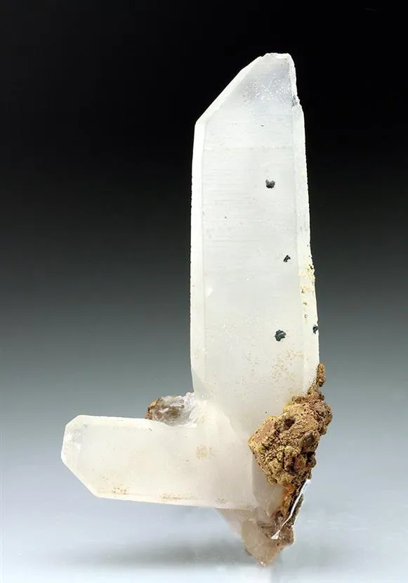 Quartz Japan Law Twin - image 1