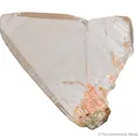 Quartz (Japan Law twin) - image 5