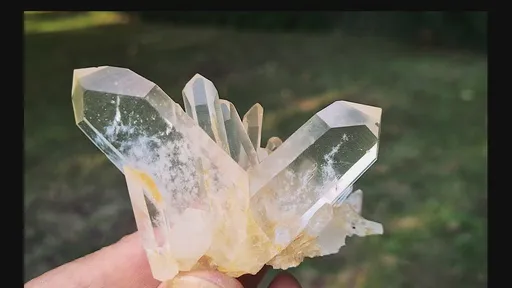 specimen video