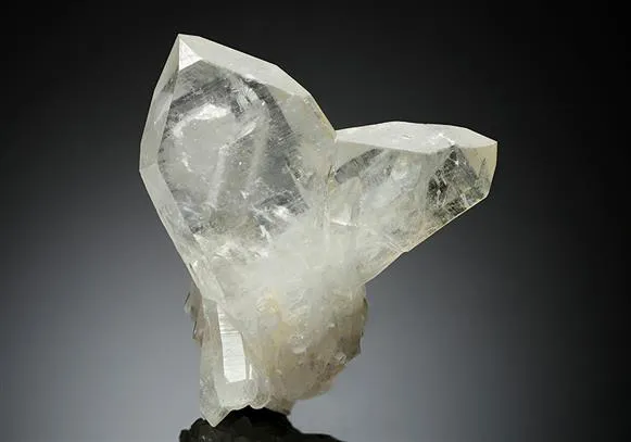 Quartz JAPAN-LAW TWIN image