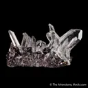 Quartz (Japan Law Twin) on Cassiterite - image 6