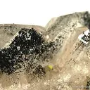 Quartz (Japan Law Twin) With Manganbabingtonite - image 3