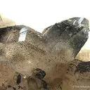 Quartz (Japan Law Twin) With Manganbabingtonite - image 2