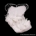 Quartz (Japan Law Twin) with Quartz - image 1