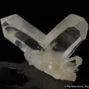 Quartz (Japan Law twinned) - image 1