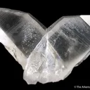 Quartz (Japan Twin) - image 2