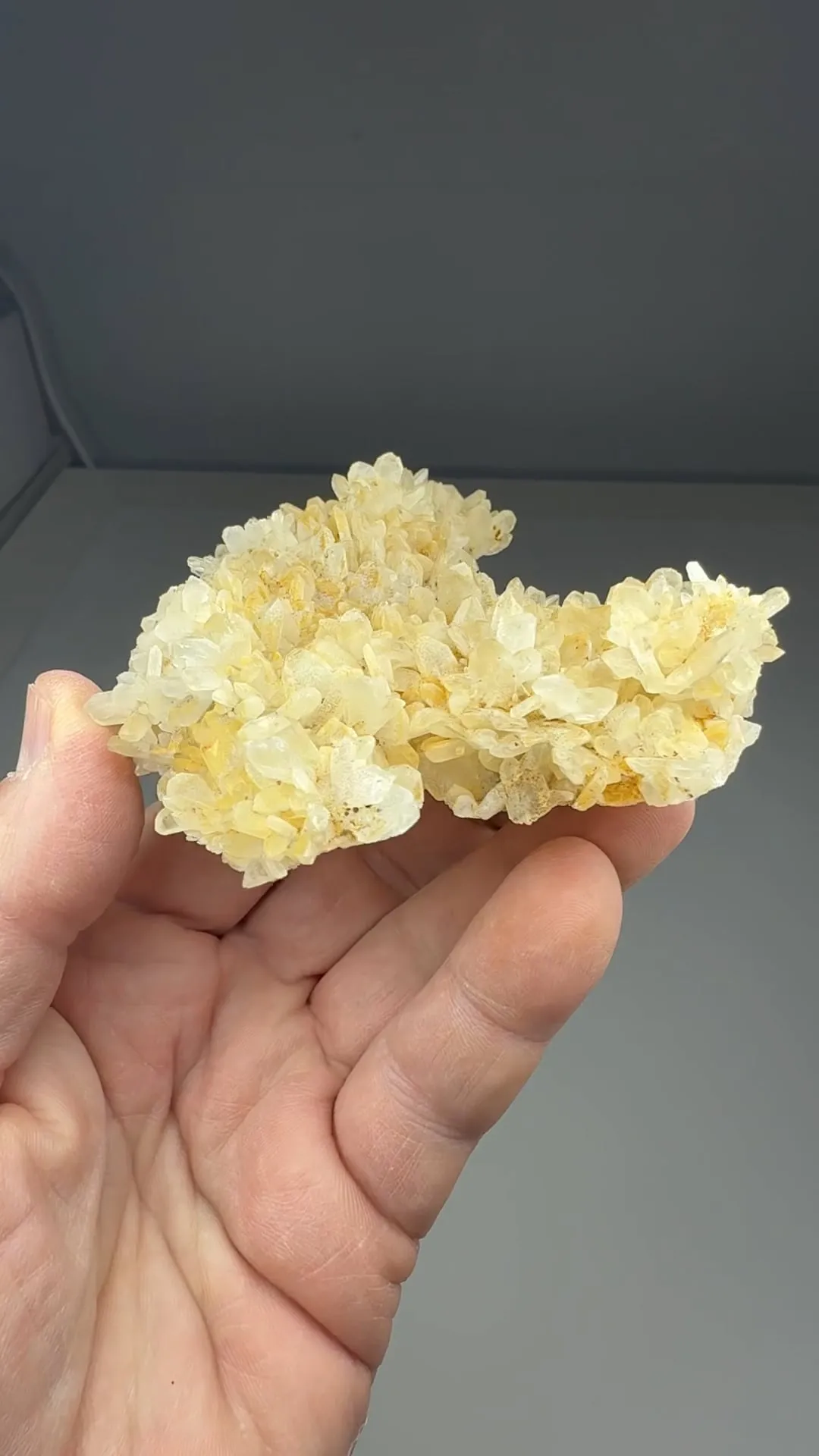 Quartz (Japan twins) - image 2