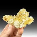 Quartz (Japan twins) - image 1