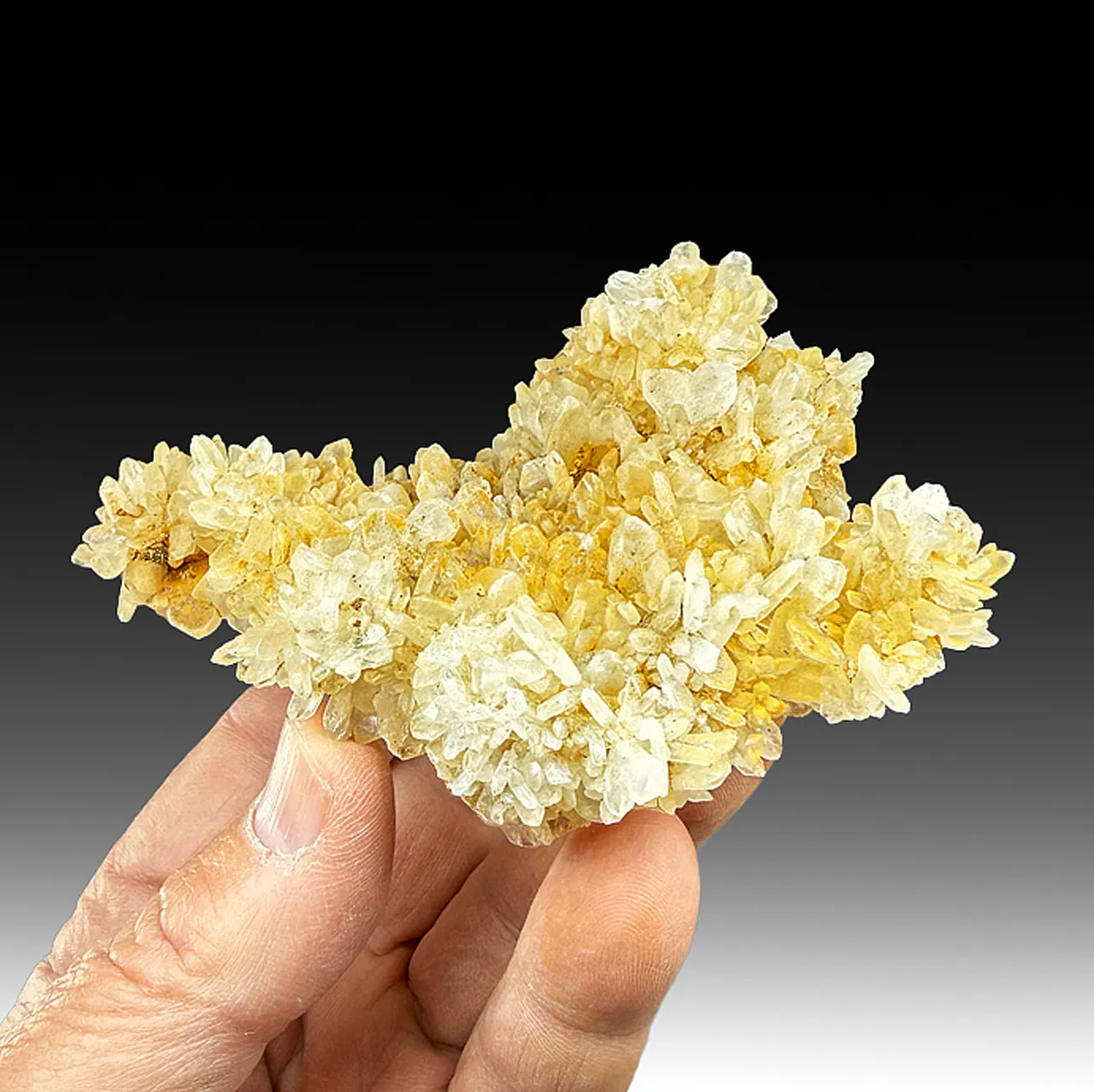 Quartz (Japan twins) - image 1