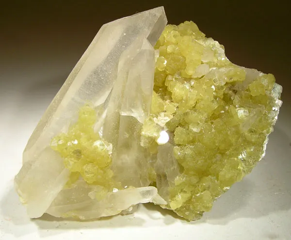 Quartz, Muscovite image