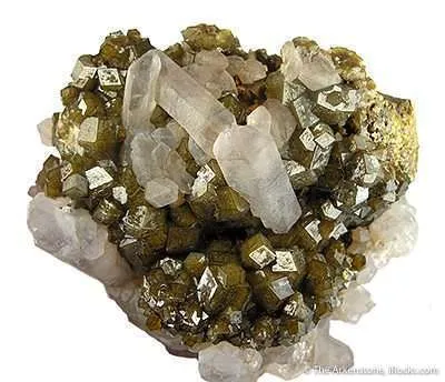 Quartz on Andradite - image 2