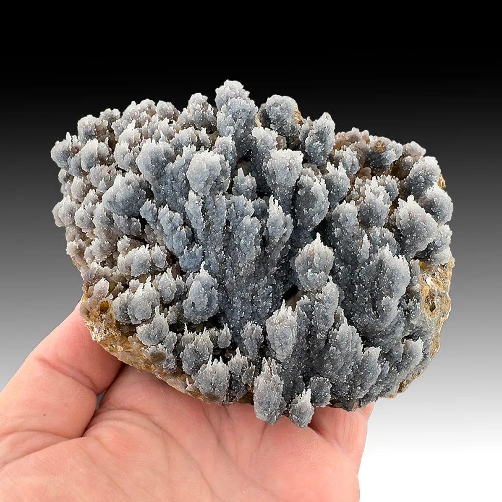 Quartz on Andradite - image 1