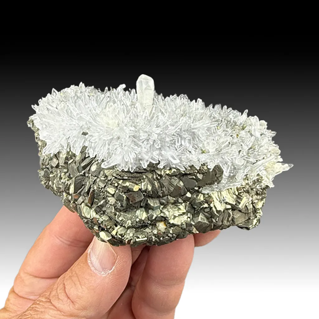 Quartz on Pyrite after Pyrrhotite image