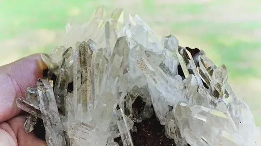 specimen video