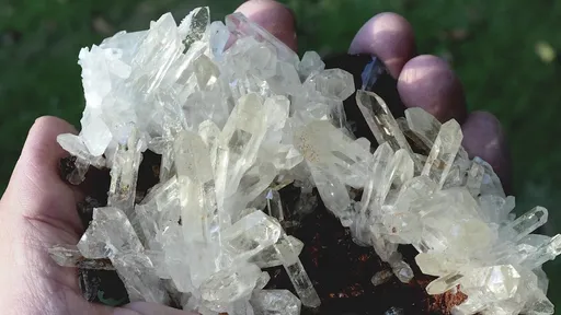 specimen video