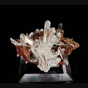 specimen video