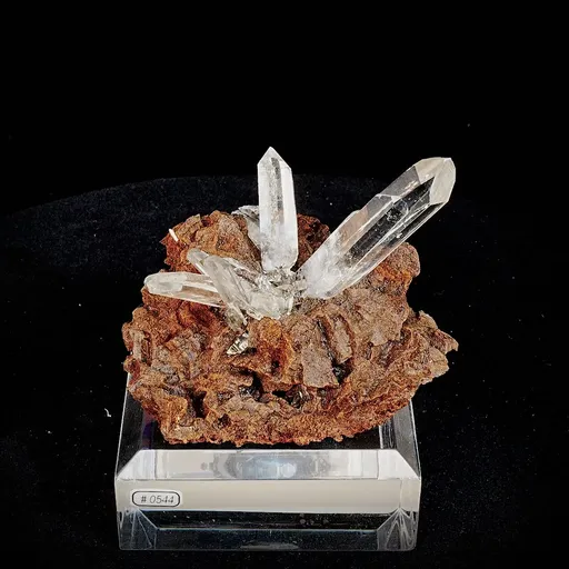 specimen video