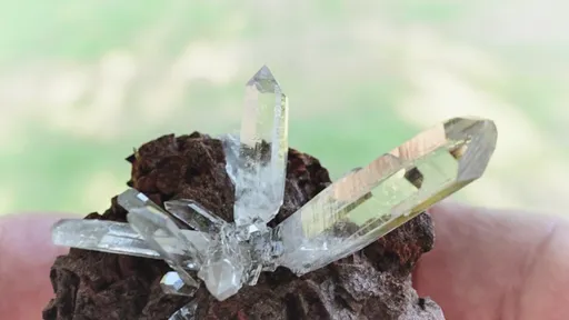 specimen video