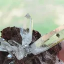specimen video