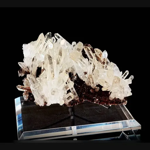 specimen video