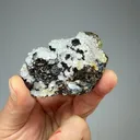 Quartz on Sphalerite - image 2