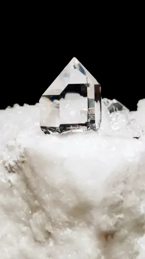 specimen video