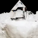 specimen video