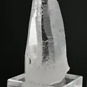 specimen video