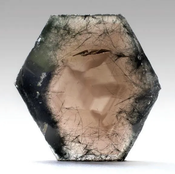 Quartz (petrified wood) image