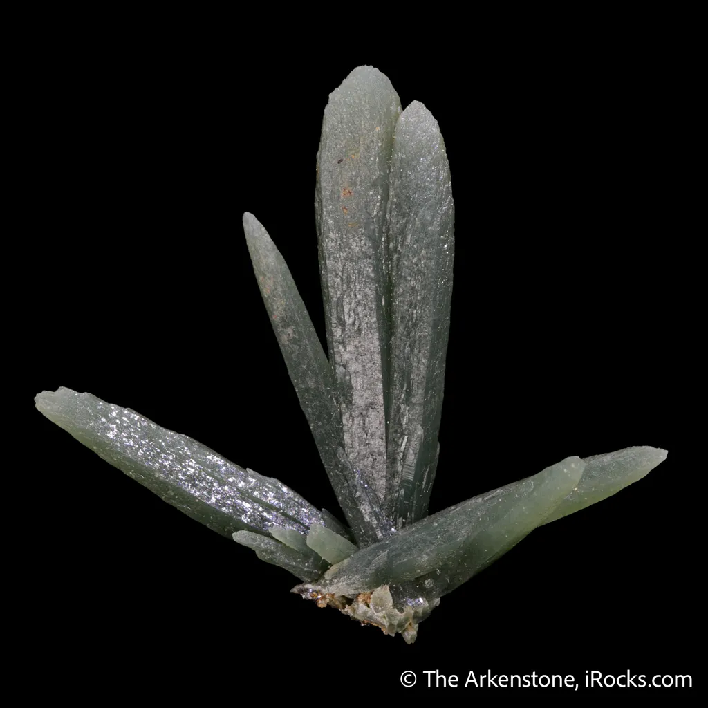Quartz (Prase) Included by Actinolite - image 3
