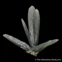Quartz (Prase) Included by Actinolite - image 3