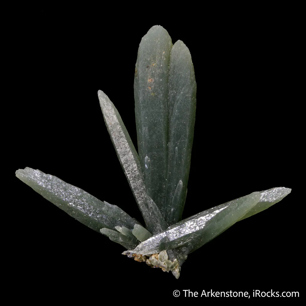 Quartz (Prase) Included by Actinolite - image 4