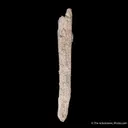 Quartz ps. Aegirine - image 5