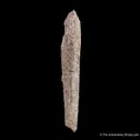 Quartz ps. Aegirine - image 4