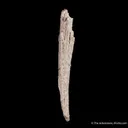 Quartz ps. Aegirine - image 3