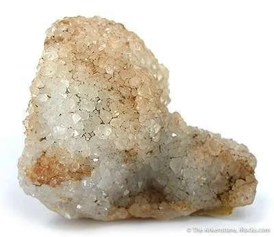 Quartz Ps. After Coral Fossil - image 2