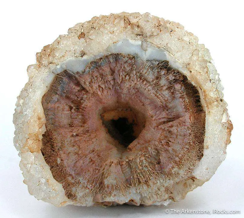 Quartz Ps. After Coral Fossil image
