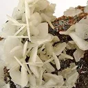 Quartz Ps. After Wulfenite - image 2
