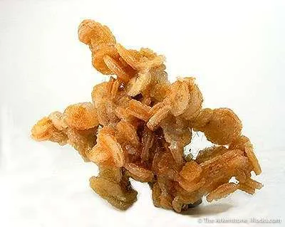 Quartz Pseudo. After Calcite With Actinolite - image 1