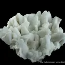 Quartz Pseudo. Calcite - image 4