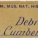 Quartz Pseudomorph (Cast) After Fluorite - image 4