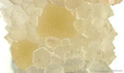 Quartz Replacing Calcite, on Quartz Stalactite With Fluorite - image 2