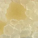 Quartz Replacing Calcite, on Quartz Stalactite With Fluorite - image 2