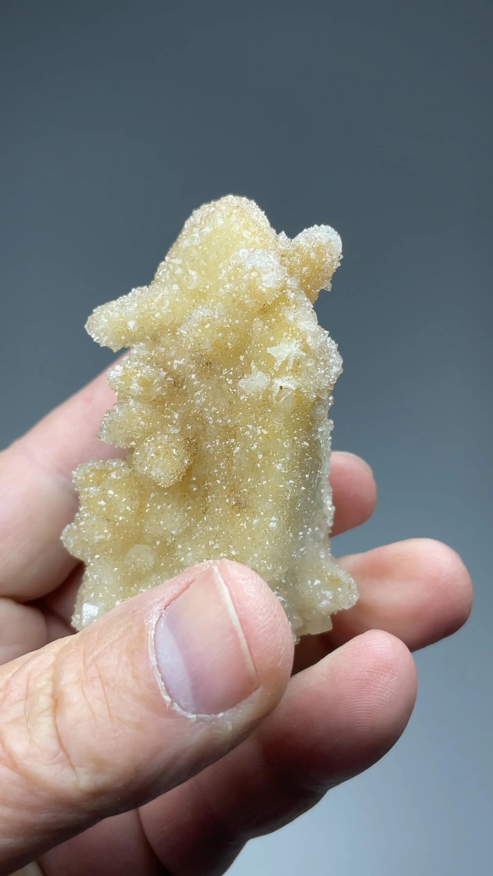 Quartz replacing Danburite - image 2