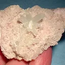 Quartz, Rhodochrosite - image 1