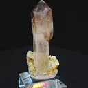 specimen video