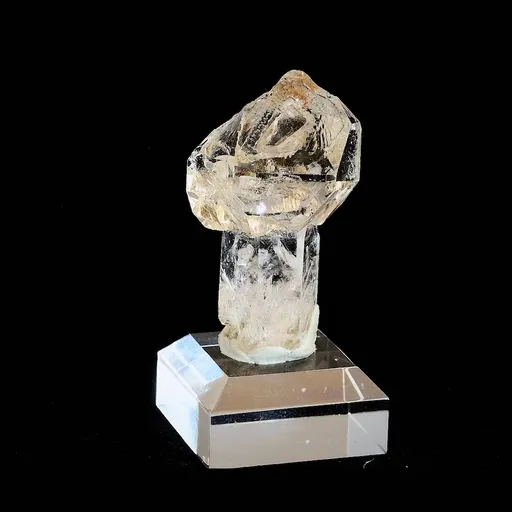 specimen video